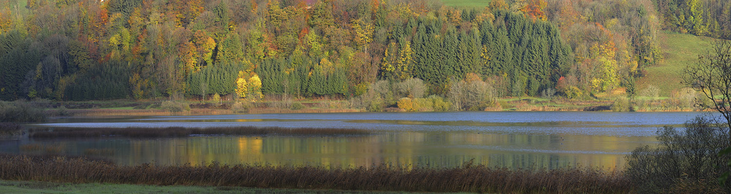 Alpsee